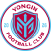 龙仁FC 龙仁FC
